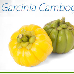 Natural Garcinia Cambogia - Cambrai